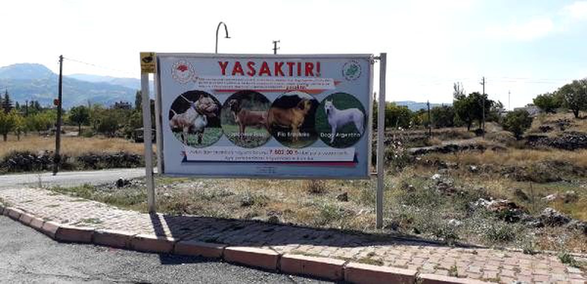 Kayseri\'de \'tehlikeli köpek\' uyarısı