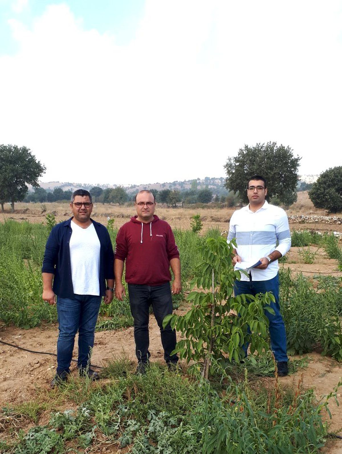 Kula\'da üreticiyle buluşturulan fidanlar kontrolden geçti