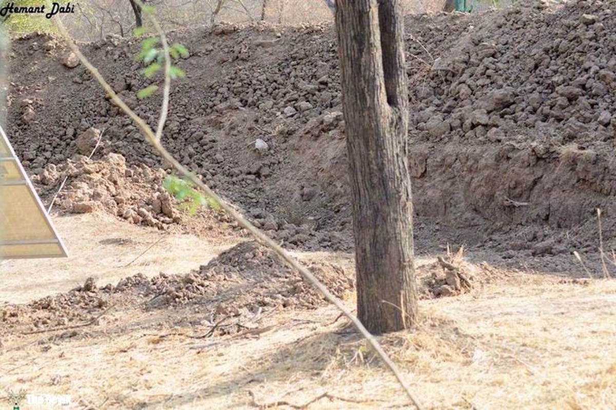 Leoparın Gizlendiği Bu Fotoğraf Sosyal Medyada Olay Oldu