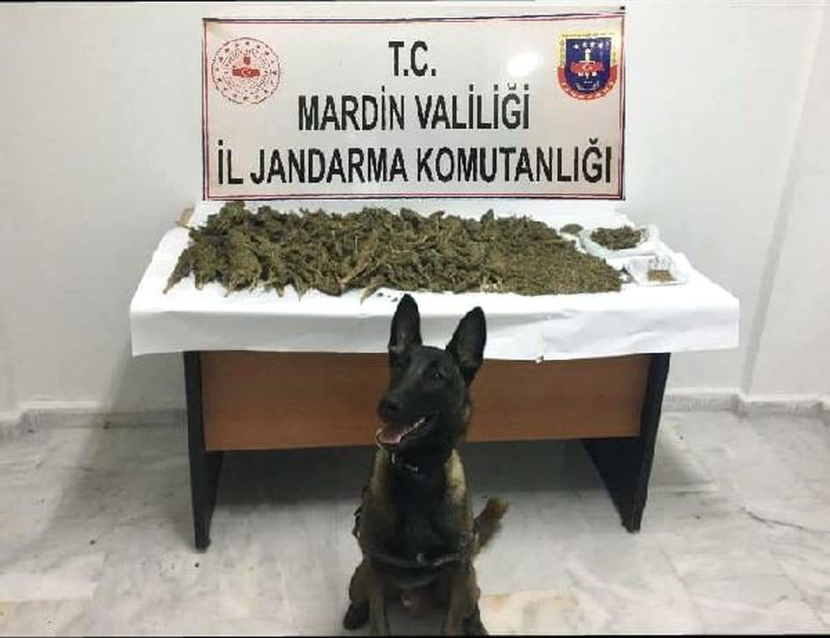 Mardin\'de uyuşturucu operasyonuna 5 tutuklama