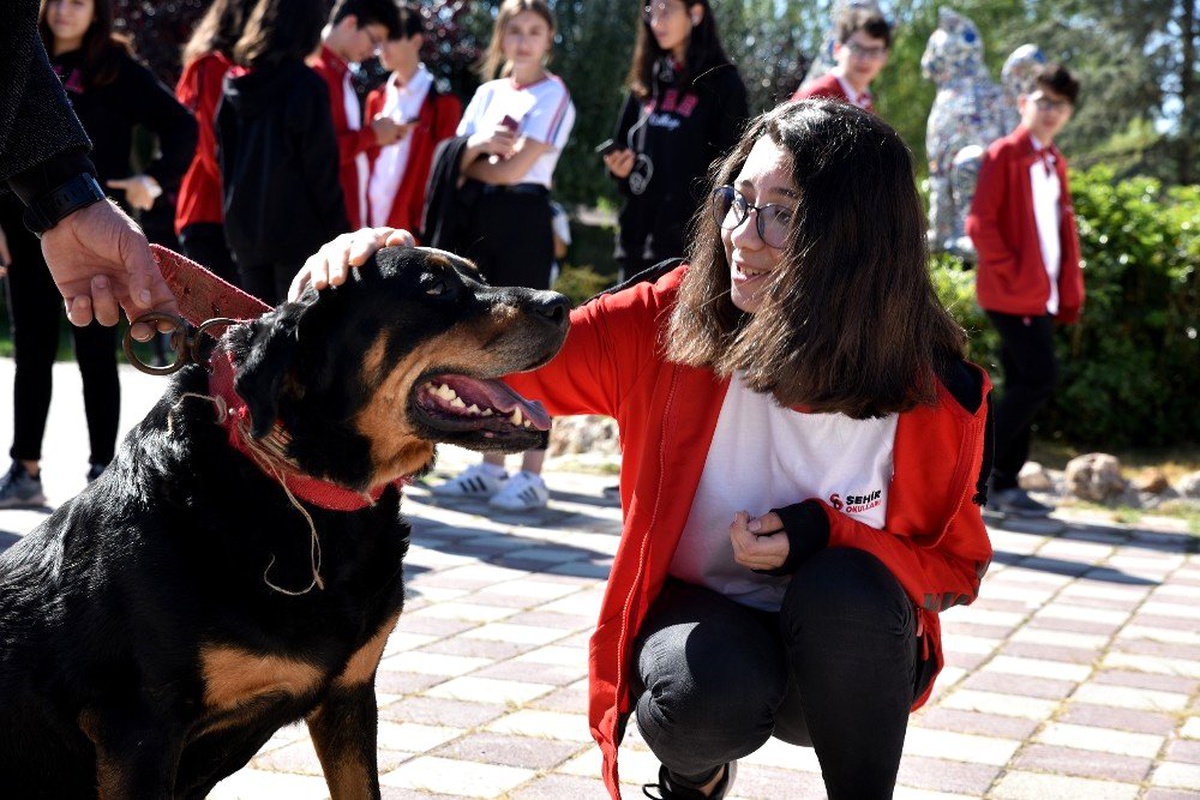 Öldü sandığı köpeğine okul gezisinde kavuştu