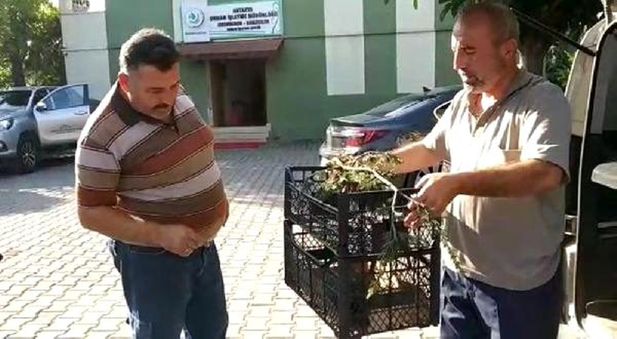 Olta misinasıyla tuzağa düşürülen doğanı, piknikçiler kurtardı