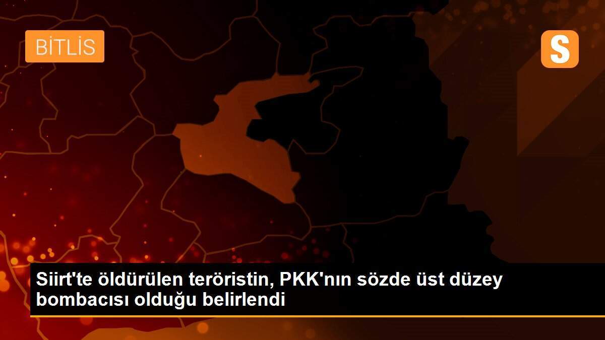 Siirt\'te öldürülen teröristin, PKK\'nın sözde üst düzey bombacısı olduğu belirlendi