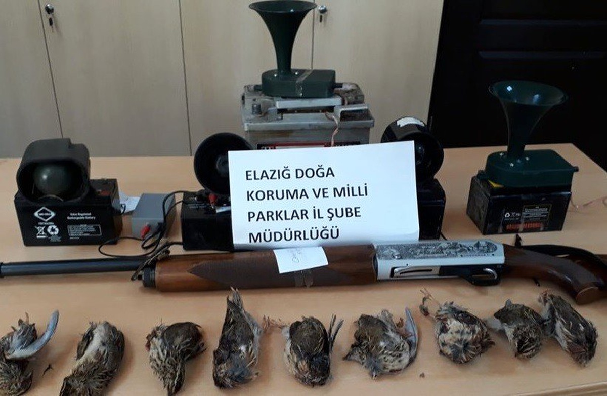 Usulsüz avlanan 2\'si yabancı uyruklu 8 şahıs yakalandı