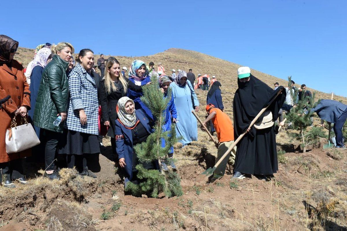 Vali Memiş: 21 metrekare boş yer bırakmayacağız"