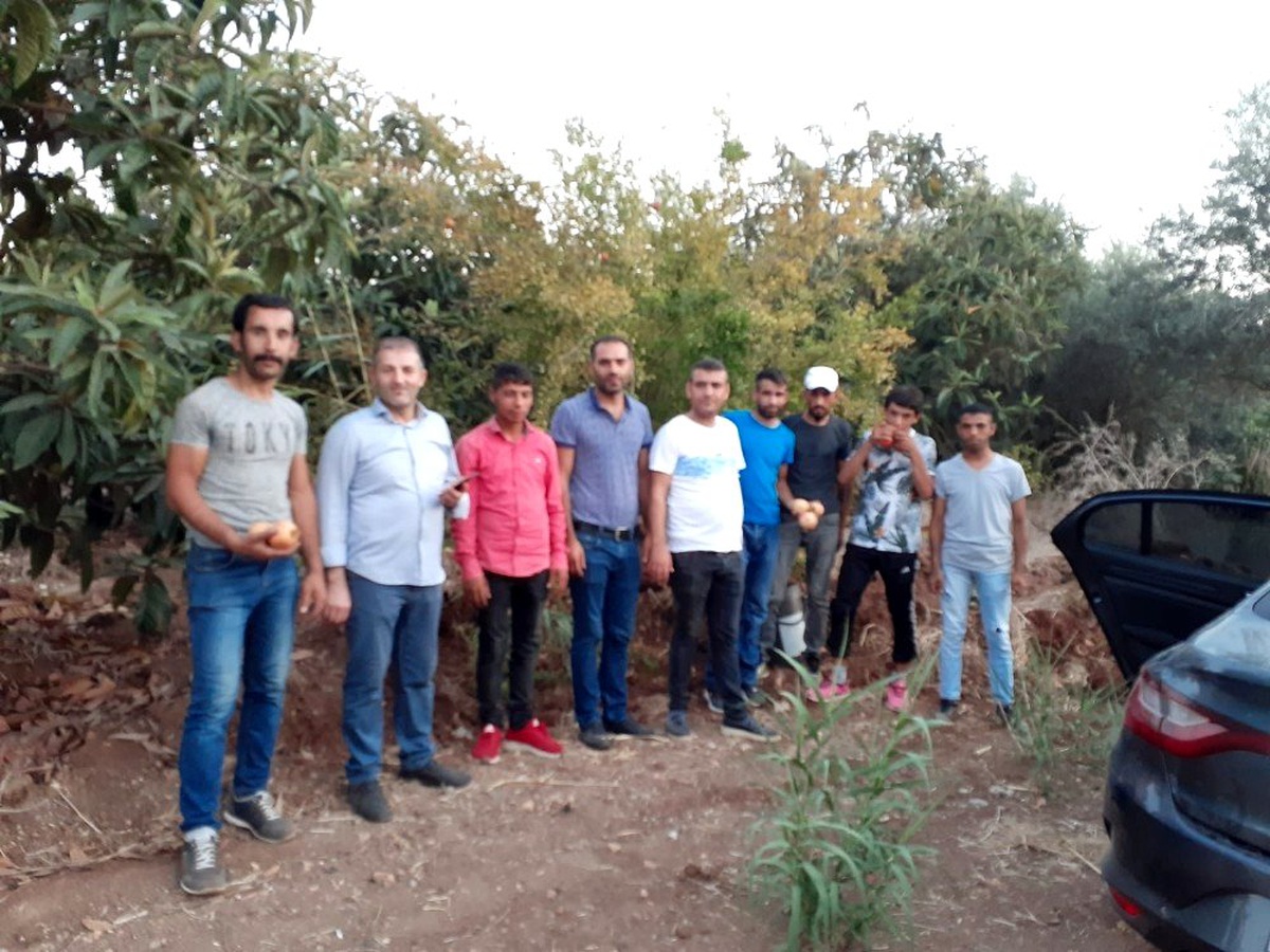 Zeytin ve narlar mahalleliye ücretsiz dağıtıldı
