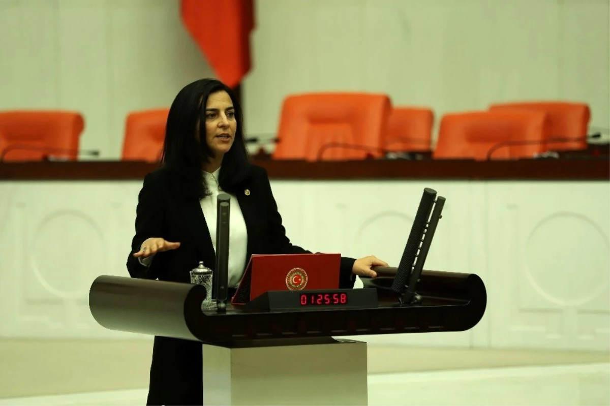 AK Partili Vekil Durgut: "Yahya Kemal\'i anlamak için elimize sözlük alıyoruz"
