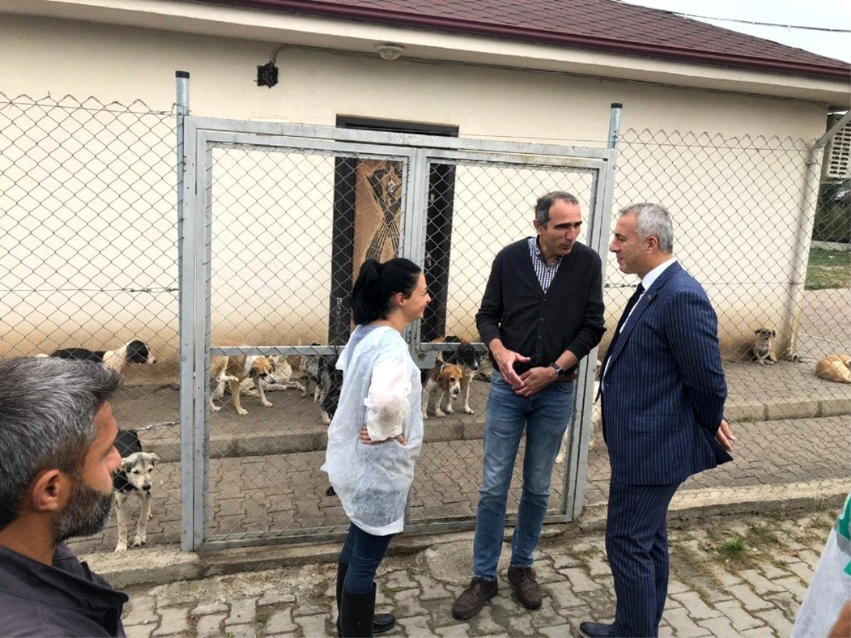 Başkan Babaoğlu, hayvan barınağında incelemelerde bulundu