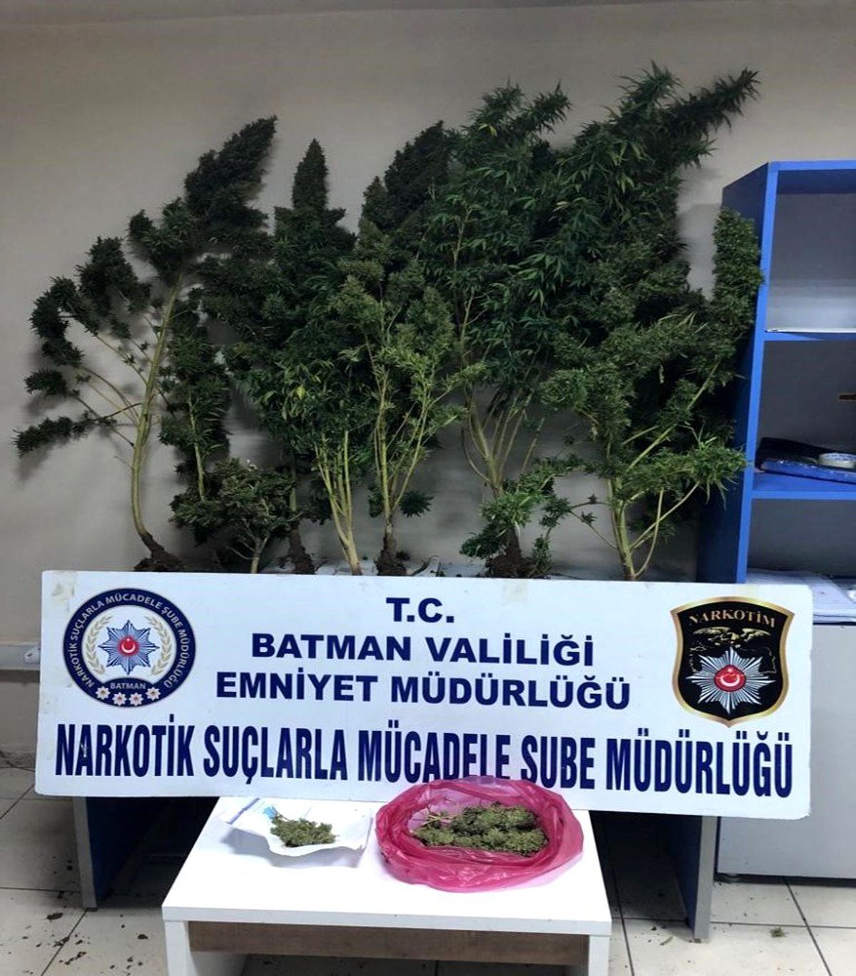 Batman\'da ilk defa ekili halde skunk ele geçirildi