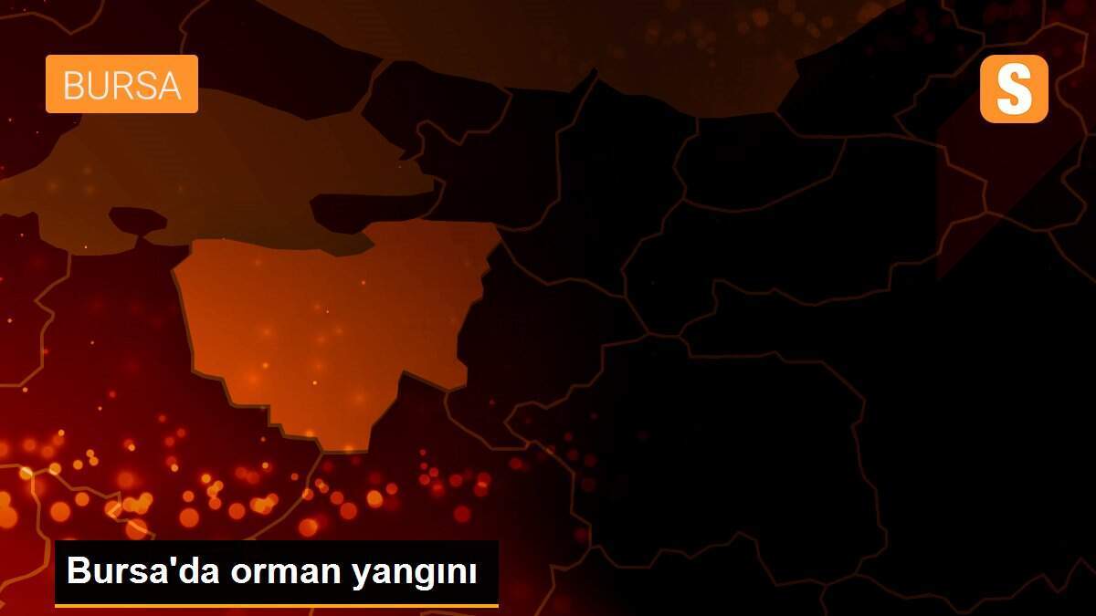 Bursa\'da orman yangını