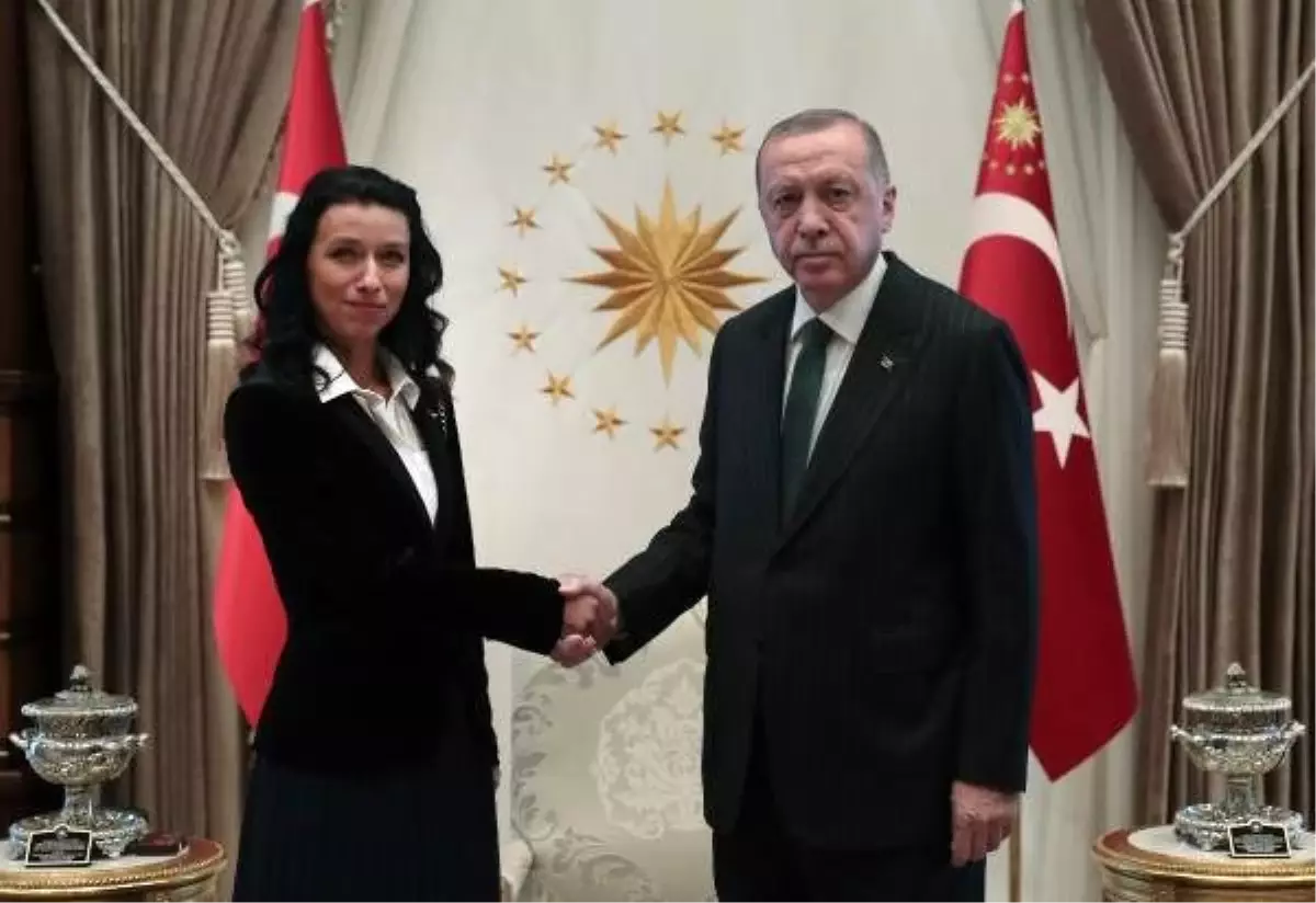 Büyükelçilerden, erdoğan\'a \'güven mektubu\'