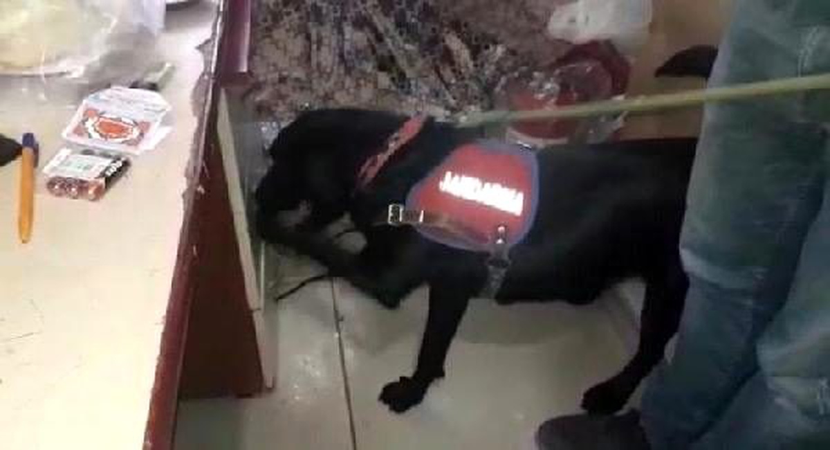 Çamaşır makinesine gizlenen uyuşturucuyu \'limit\' buldu