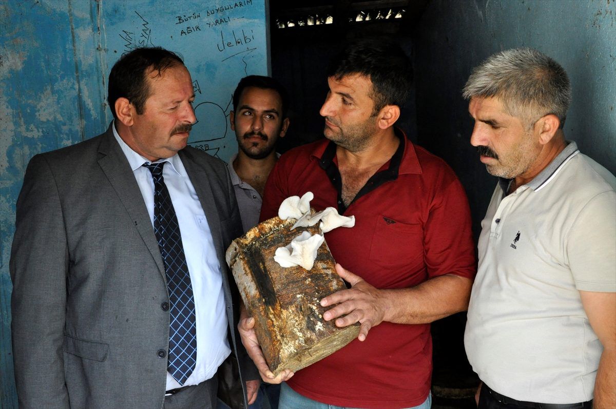 Çukurca\'da poşette mantar üretimi yapıldı