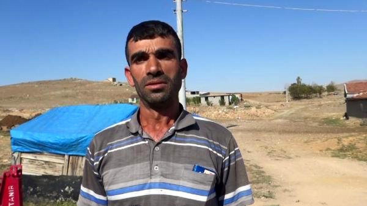 Dünya hayvanları koruma günü\'nde 3 köpek vurularak öldürüldü