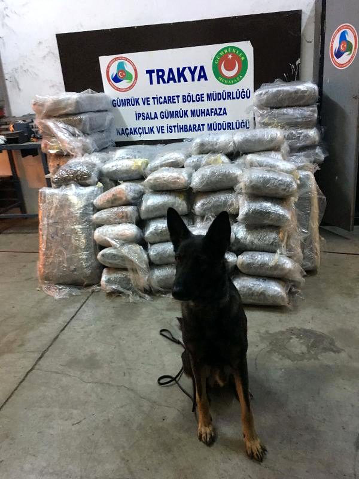 İpsala\'da tır\'da 335 kilo esrar ele geçirildi