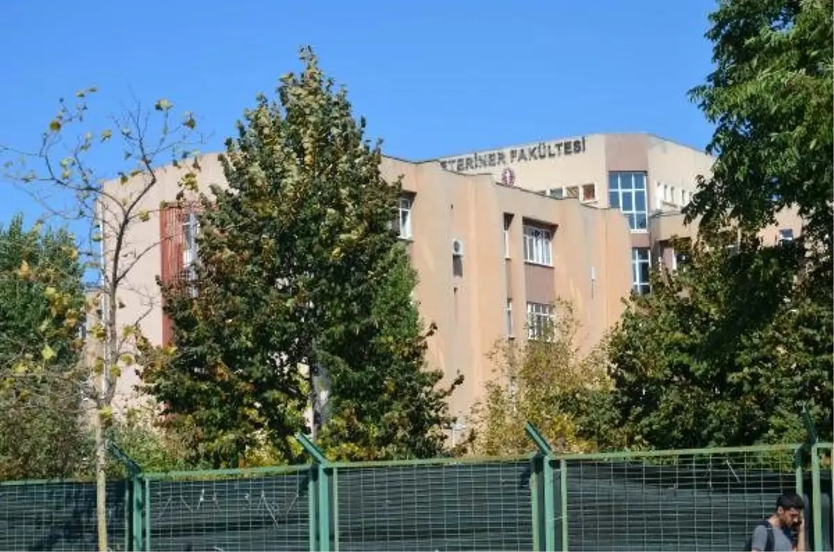 İü-cerrahpaşa\'daki taşınacak bazı birimlerde "deprem tatili\'