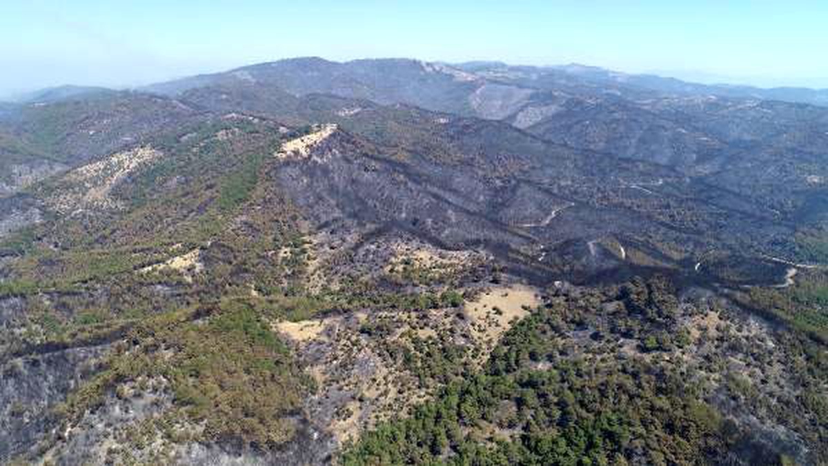 İzmir büyükşehir belediyesi\'ne yangınlarla ilgili bağış toplama izni verildi