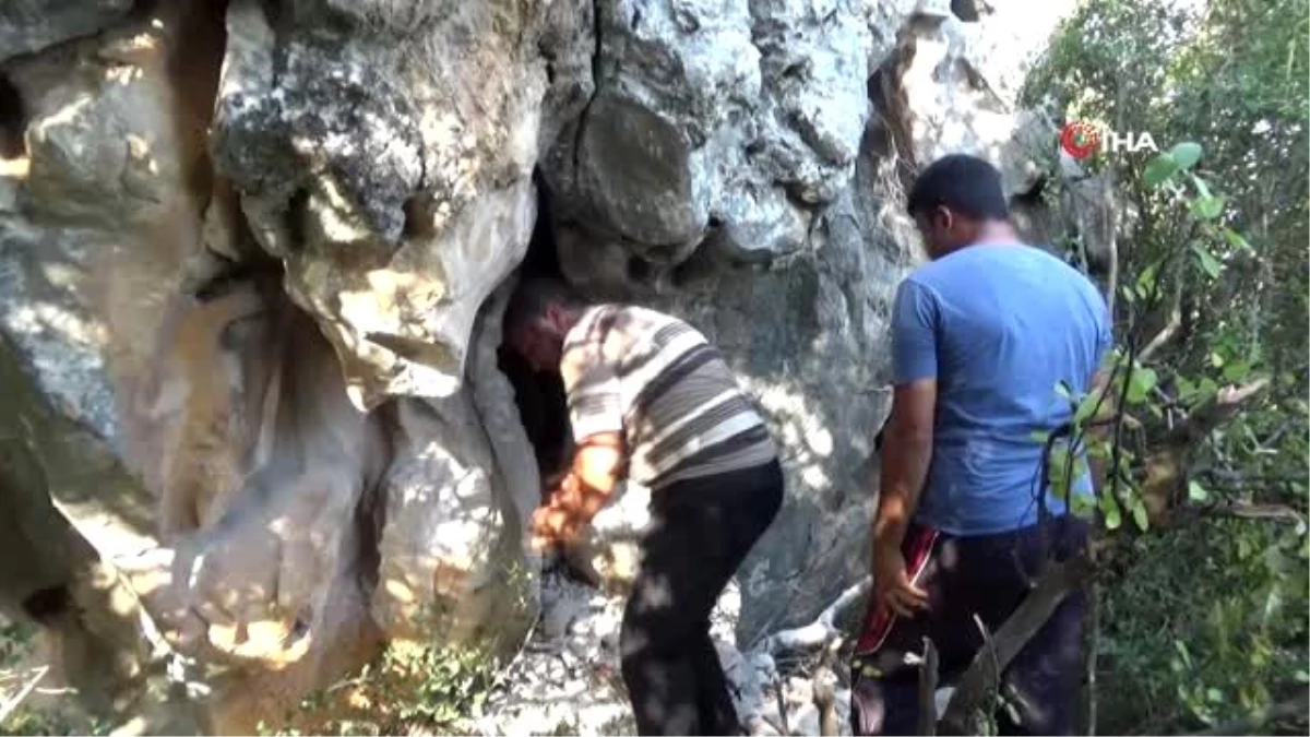"Karakız" sıkıştığı kayalıklarda 3 gündür kurtarılmayı bekliyor