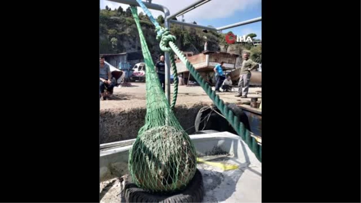 Riva\'da balıkçıların bulduğu mayın SAS timi tarafından imha edildi