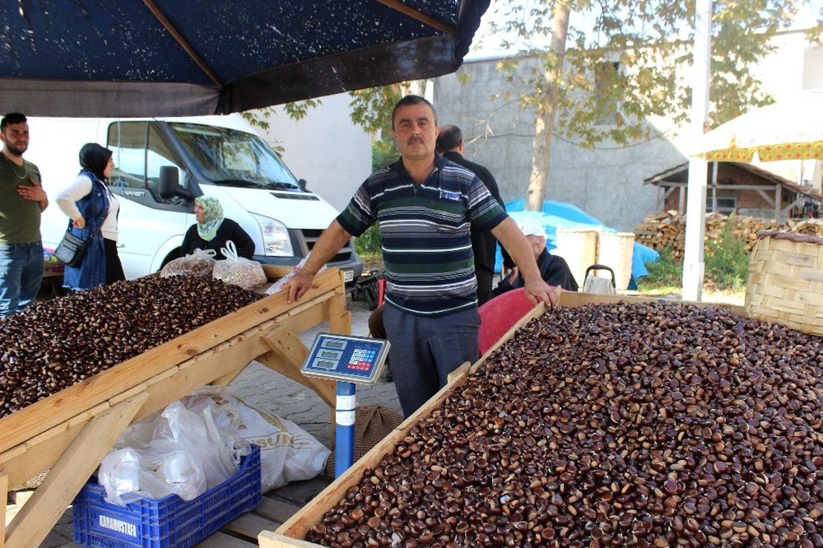 Sinop\'ta kestane pazara indi