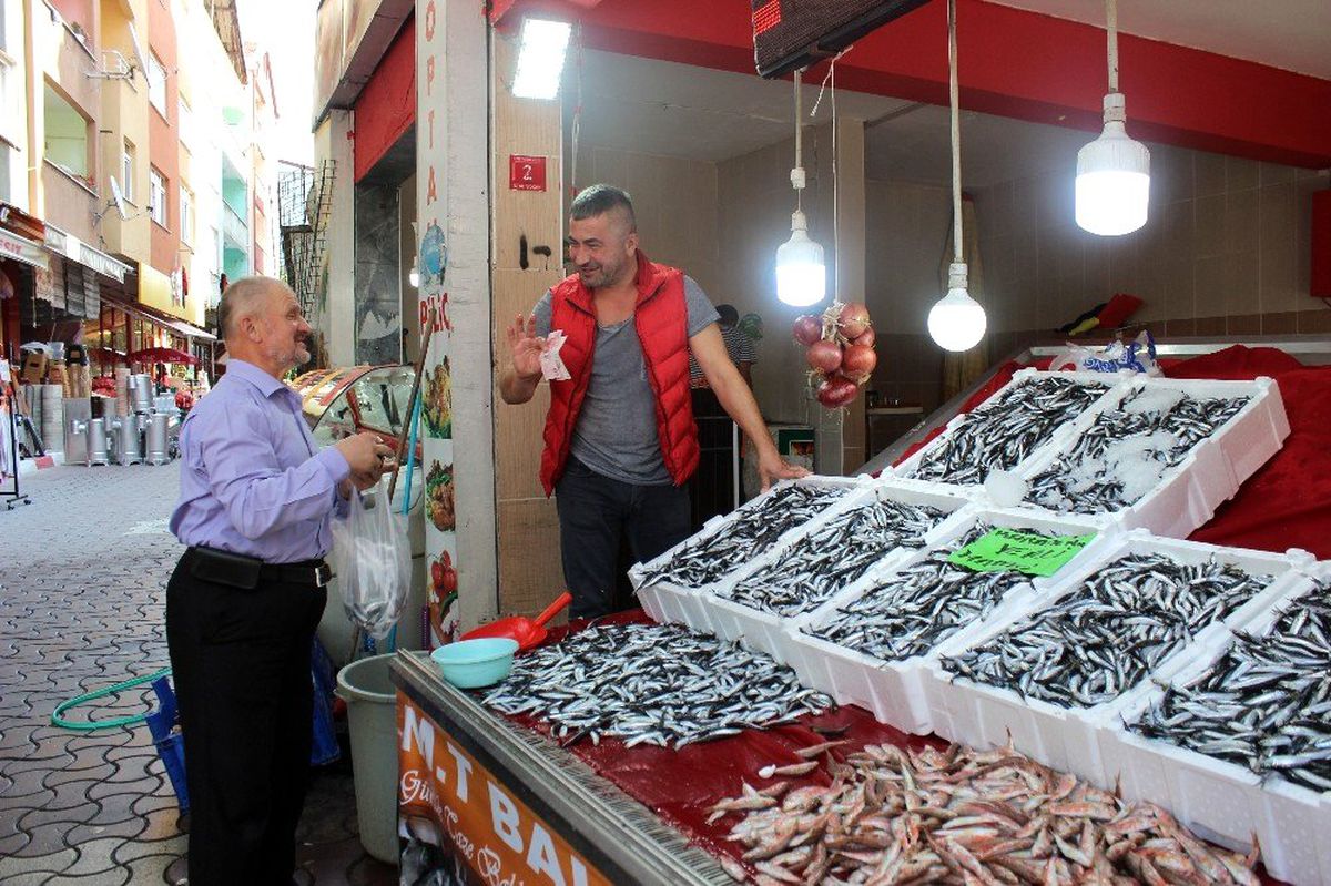 Türkeli\'de hamsi bereketi