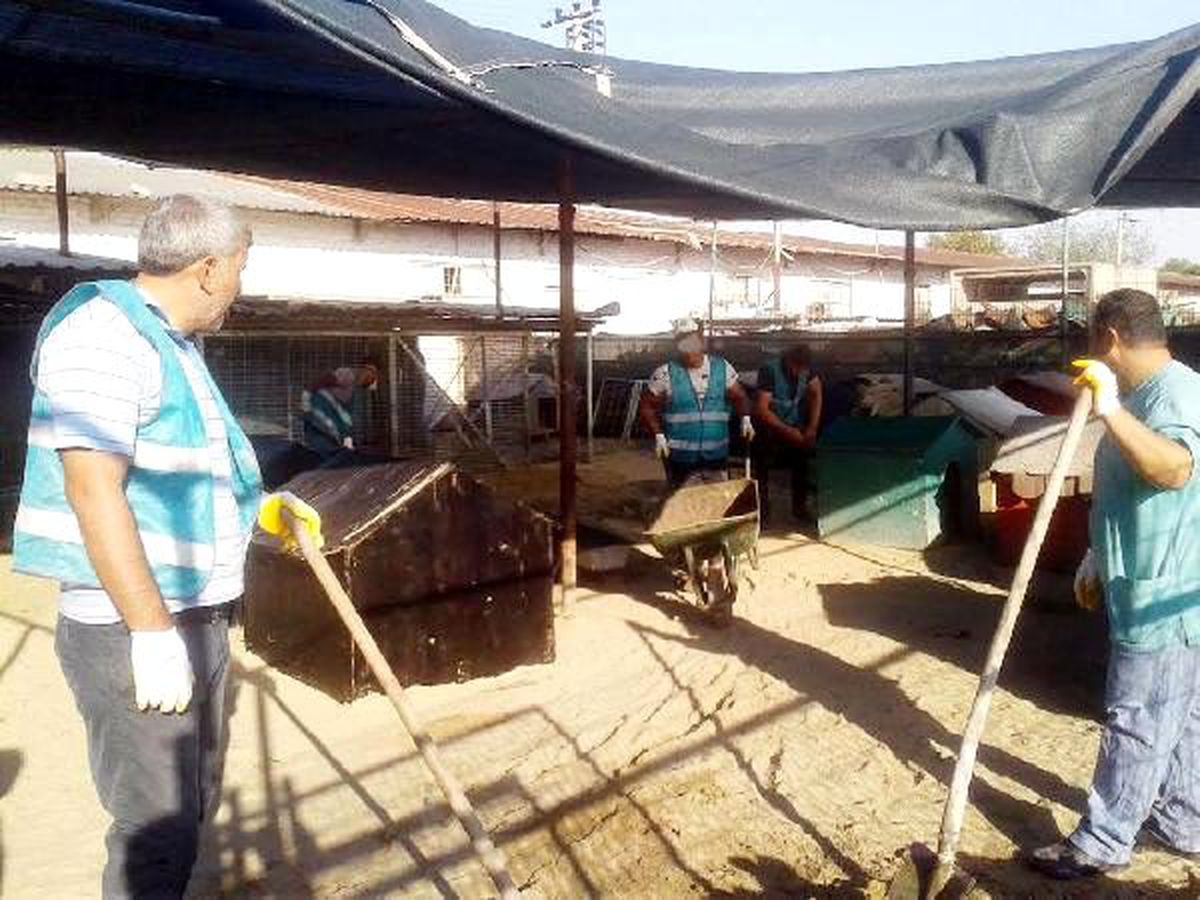 Yükümlülerden barınak temizliği