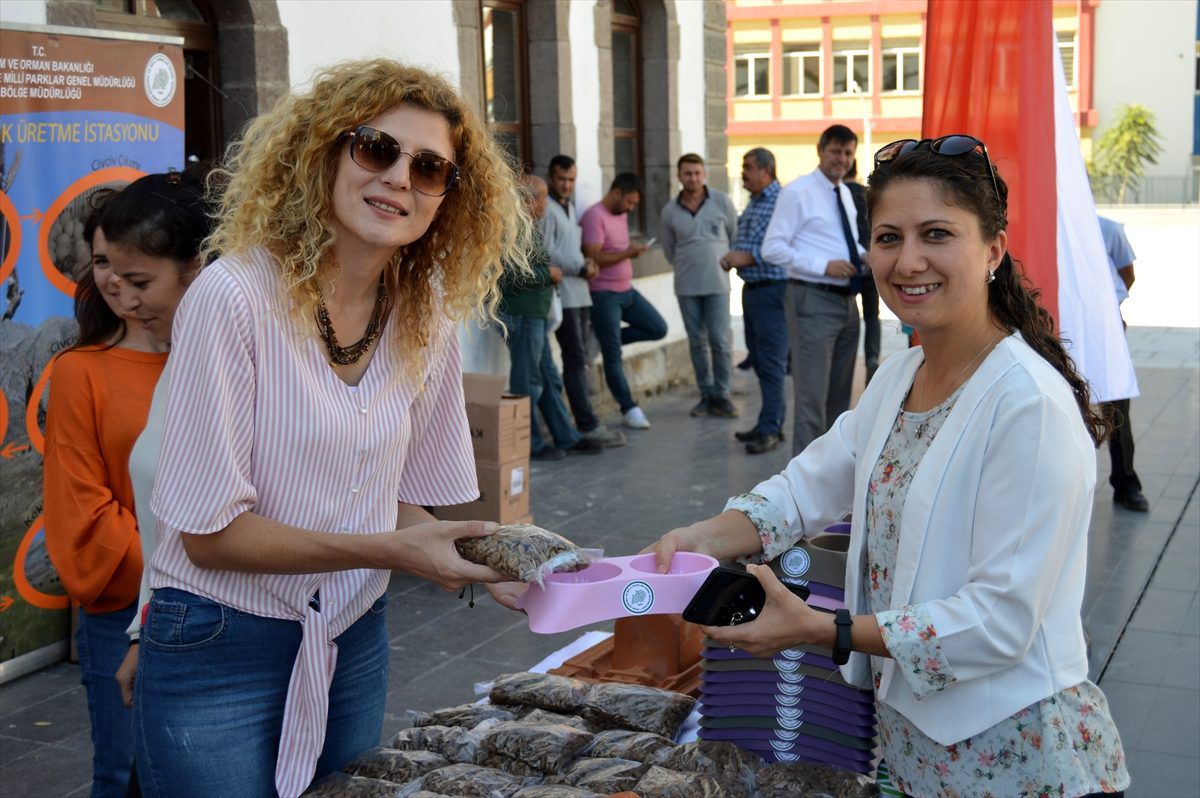 4 Ekim Dünya Hayvanları Koruma Günü