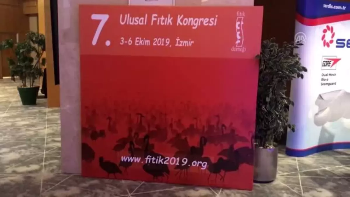 7. Ulusal Fıtık Kongresi