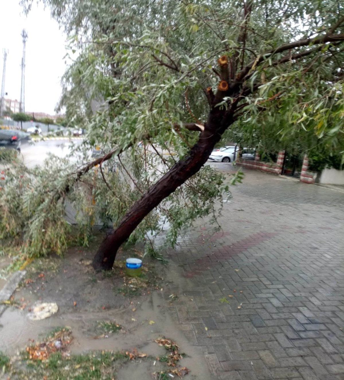 Ağaçlar kırıldı, yollar göle dündü