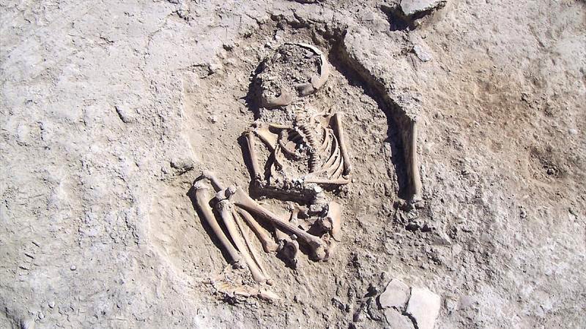 Arslantepe Höyüğü\'ndeki kazılarda 5700 yıllık çocuk iskeleti bulundu