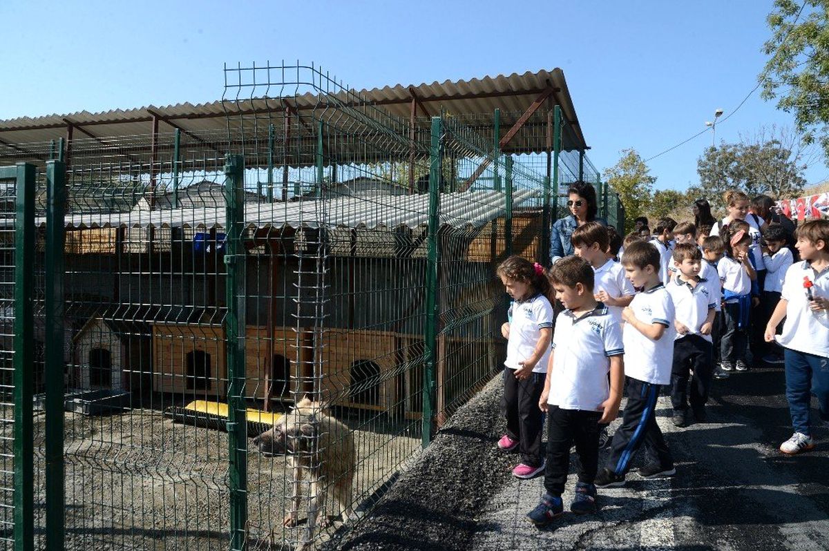Beylikdüzü\'nde minik öğrencileri sokak hayvanlarıyla buluşturdu