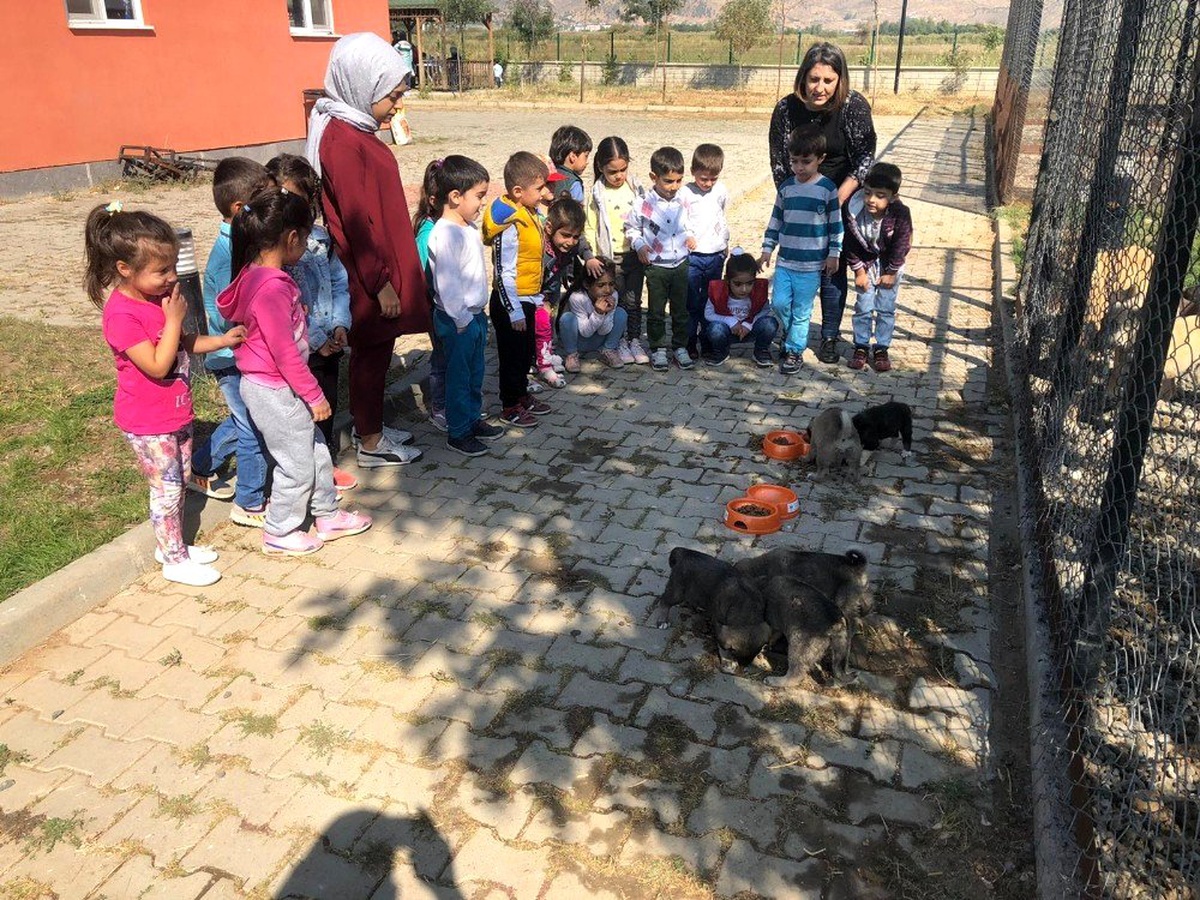 Bingöl\'de öğrenciler hayvan barınağını gezdi