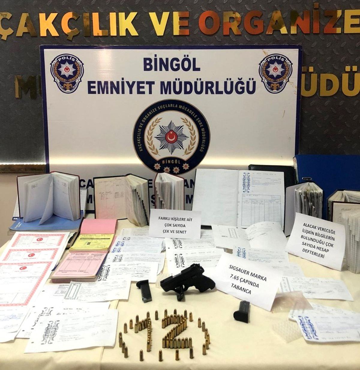 Bingöl\'de tefeci operasyonu: 1 gözaltı