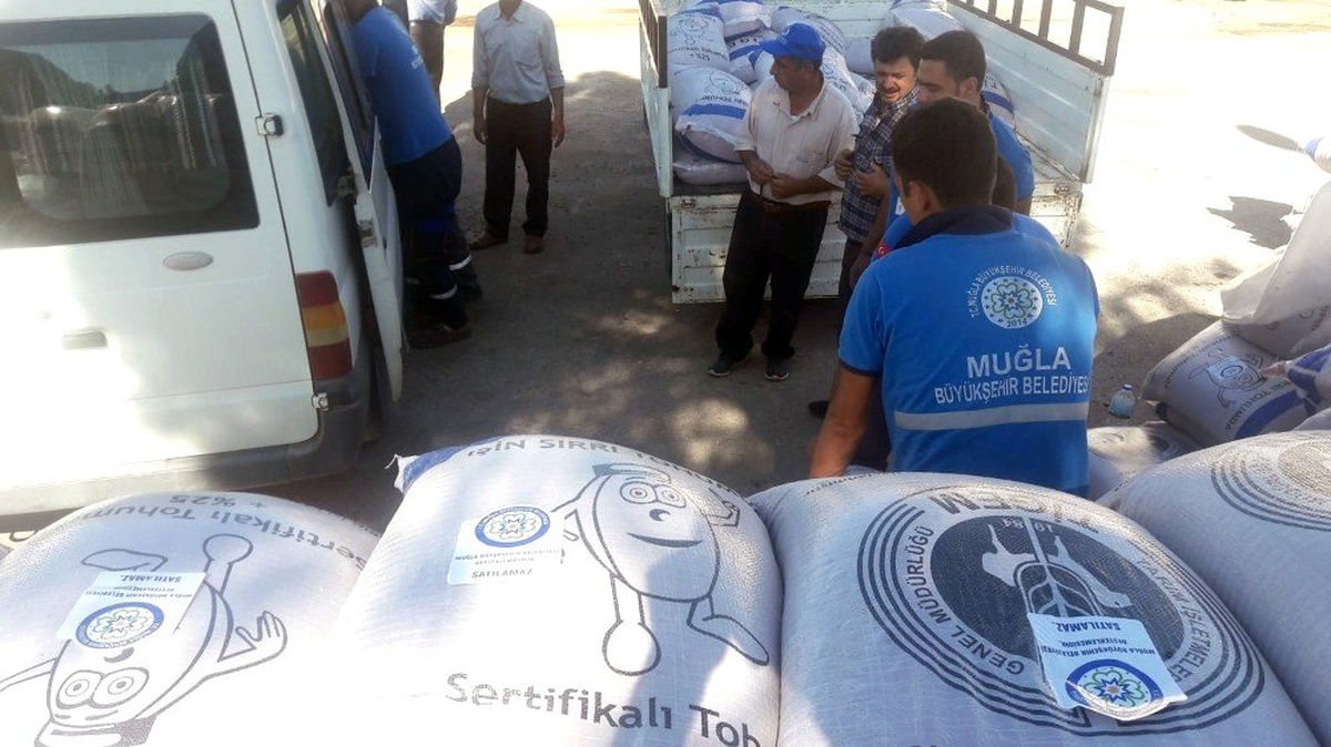 Büyükşehir\'den hayvancılığa yem bitkisi desteği