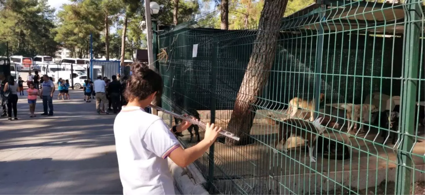 Çocukların barınaktaki hayvanlarla buluşması renkli görüntüler oluşturdu