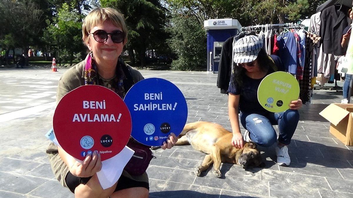 Çöplükte yaşayan hayvanlar unutulmadı