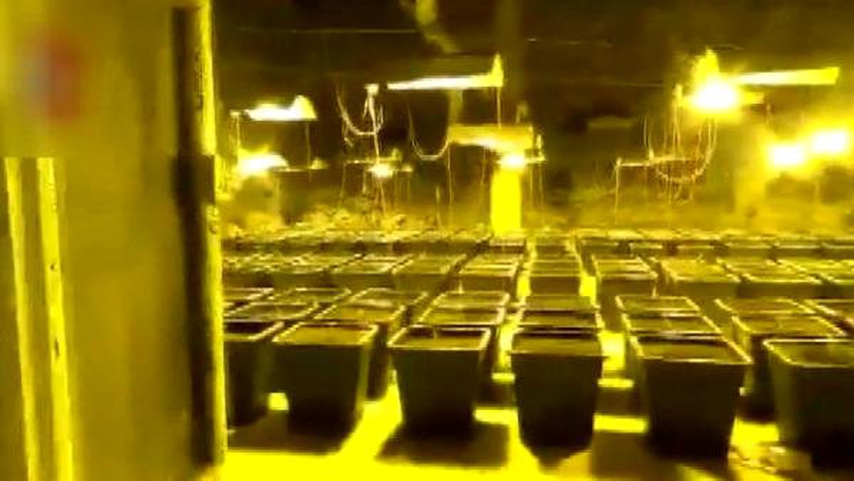 Duştan uyuşturucu tarlasına gizli kapı
