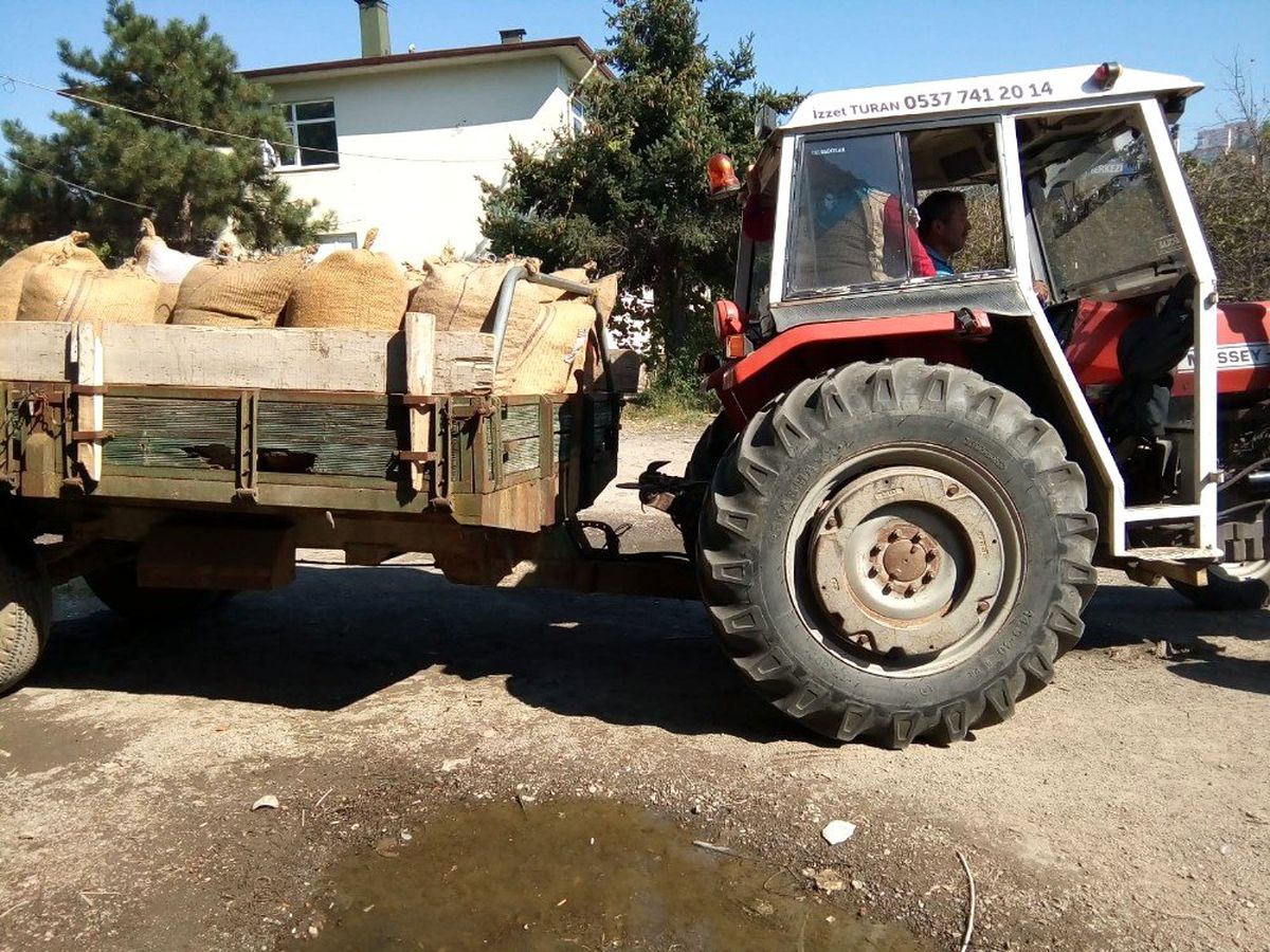 Fındıkta randıman tepkisi