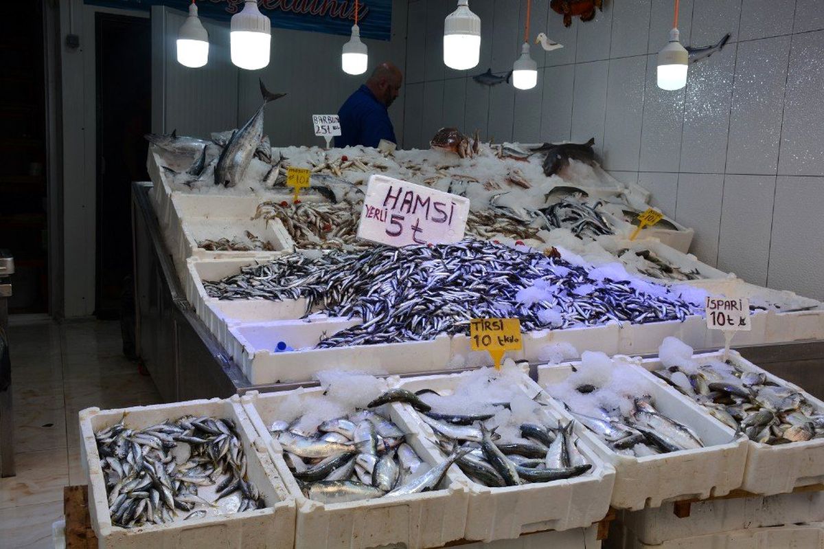 Hamsinin fiyatı dibi gördü