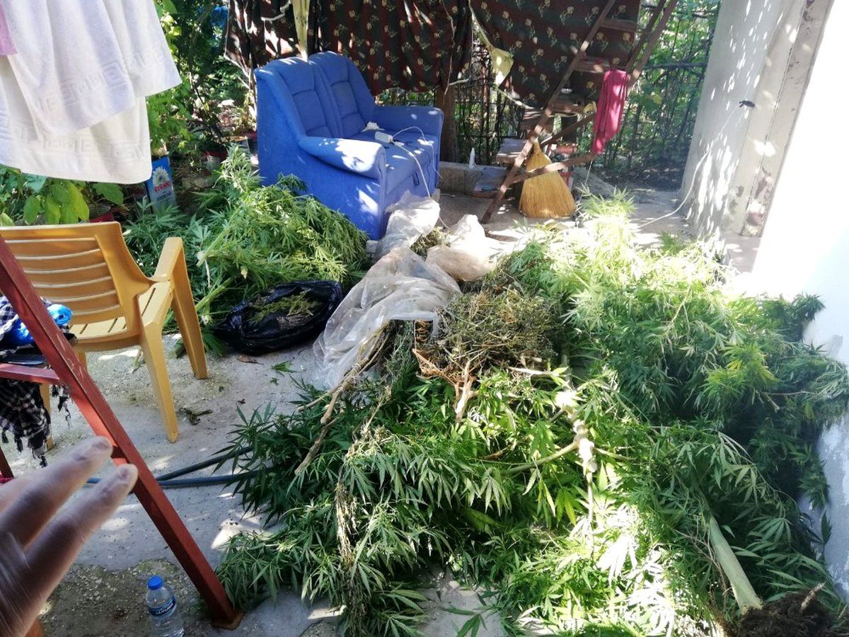Hatay\'da uyuşturucu operasyonu: 1 gözaltı