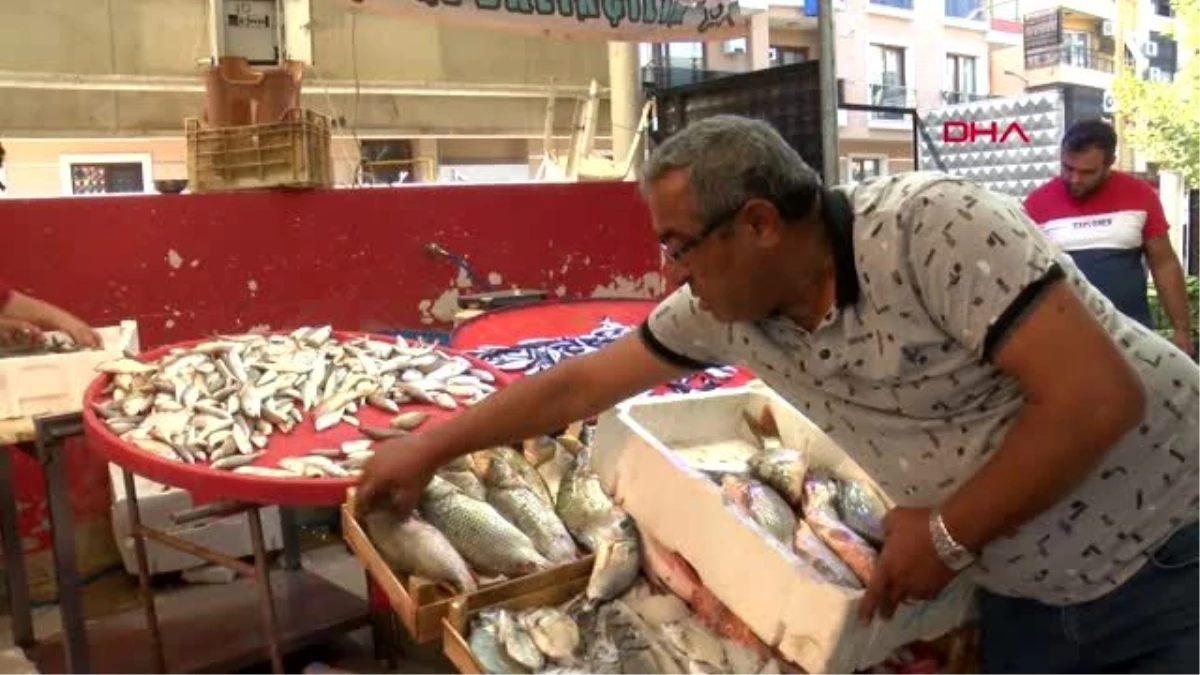 İzmir pazaryerlerindeki balık tezgahları için \'sağlıksız\' uyarısı