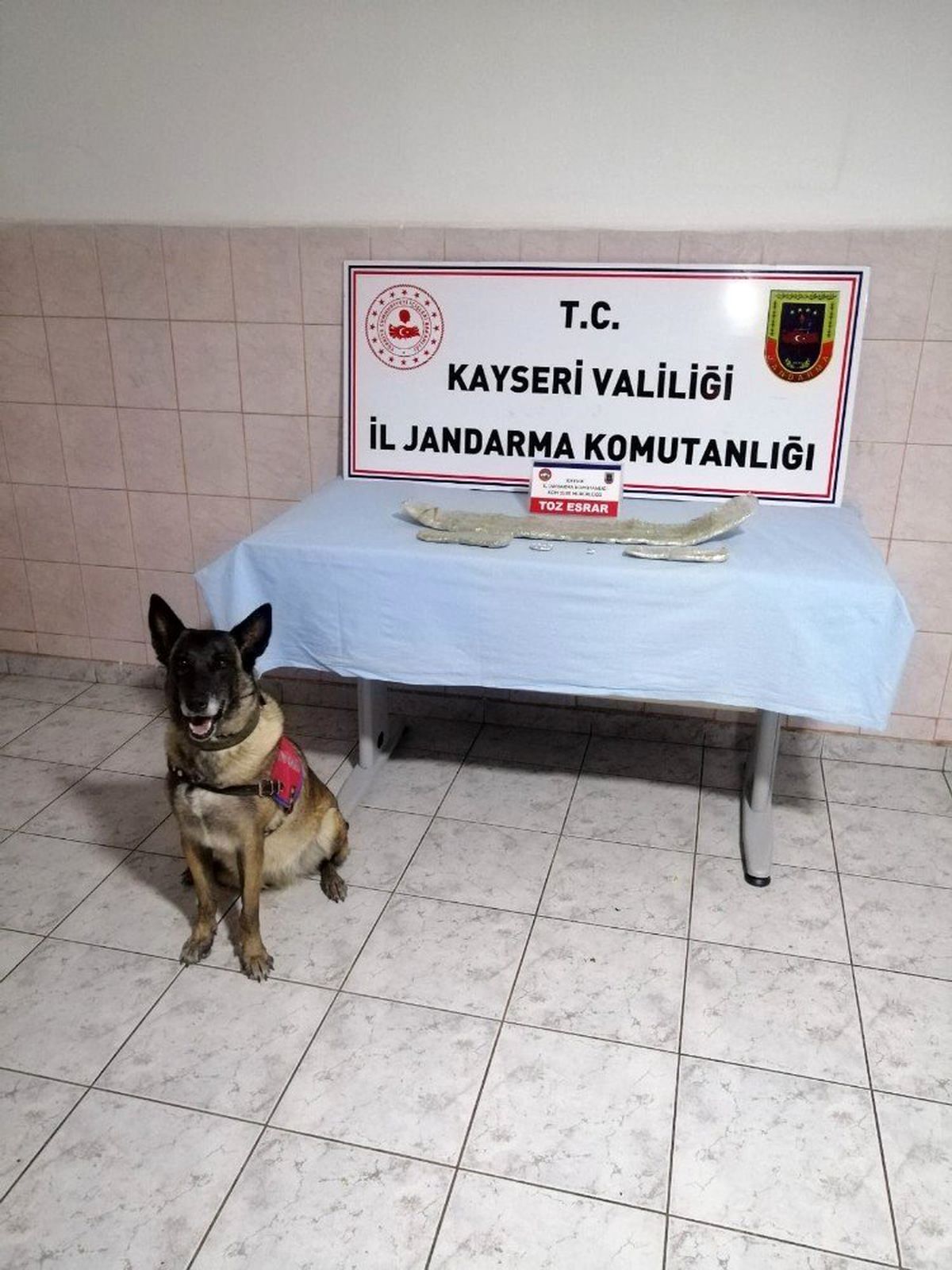 Jandarmadan uyuşturucu operasyonu