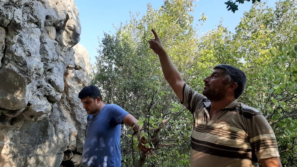Kayalıkta mahsur kalan "Karakızı" AFAD ve jandarma kurtardı
