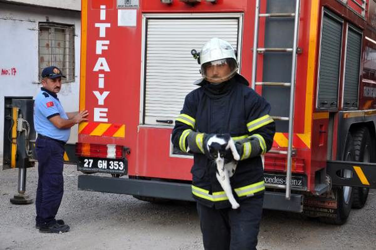 Köpekten kaçtığı ağaçta 2 gün mahsur kaldı