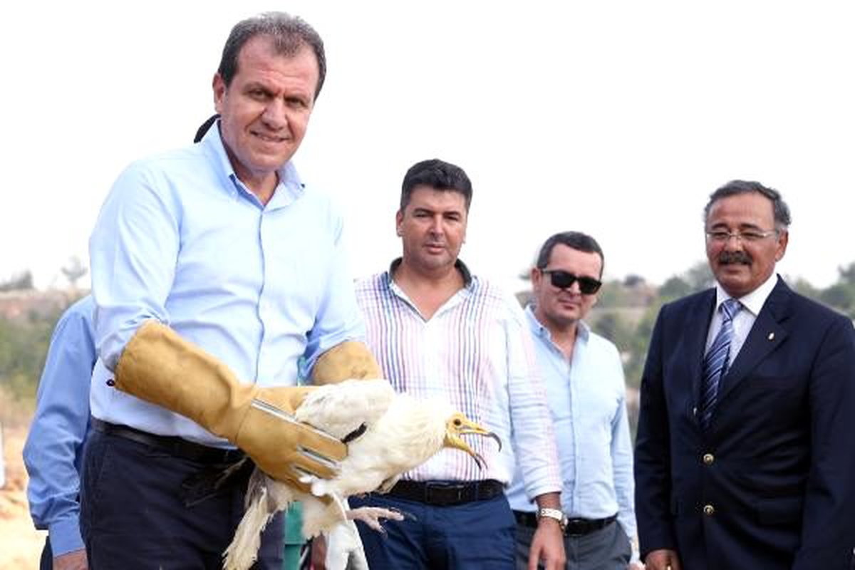 Nesli tükenmekte olan mısır akbabası doğaya bırakıldı