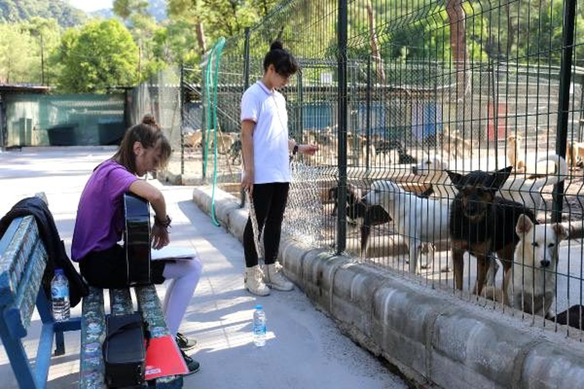 Öğrenciler barınaktaki hayvanlara kitap okudu, müzik dinletisi sundu