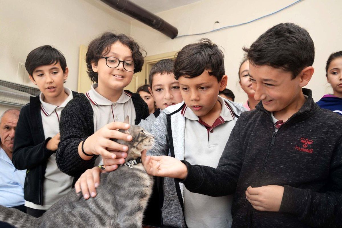 Öğrenciler sokak hayvanlarını unutmadı