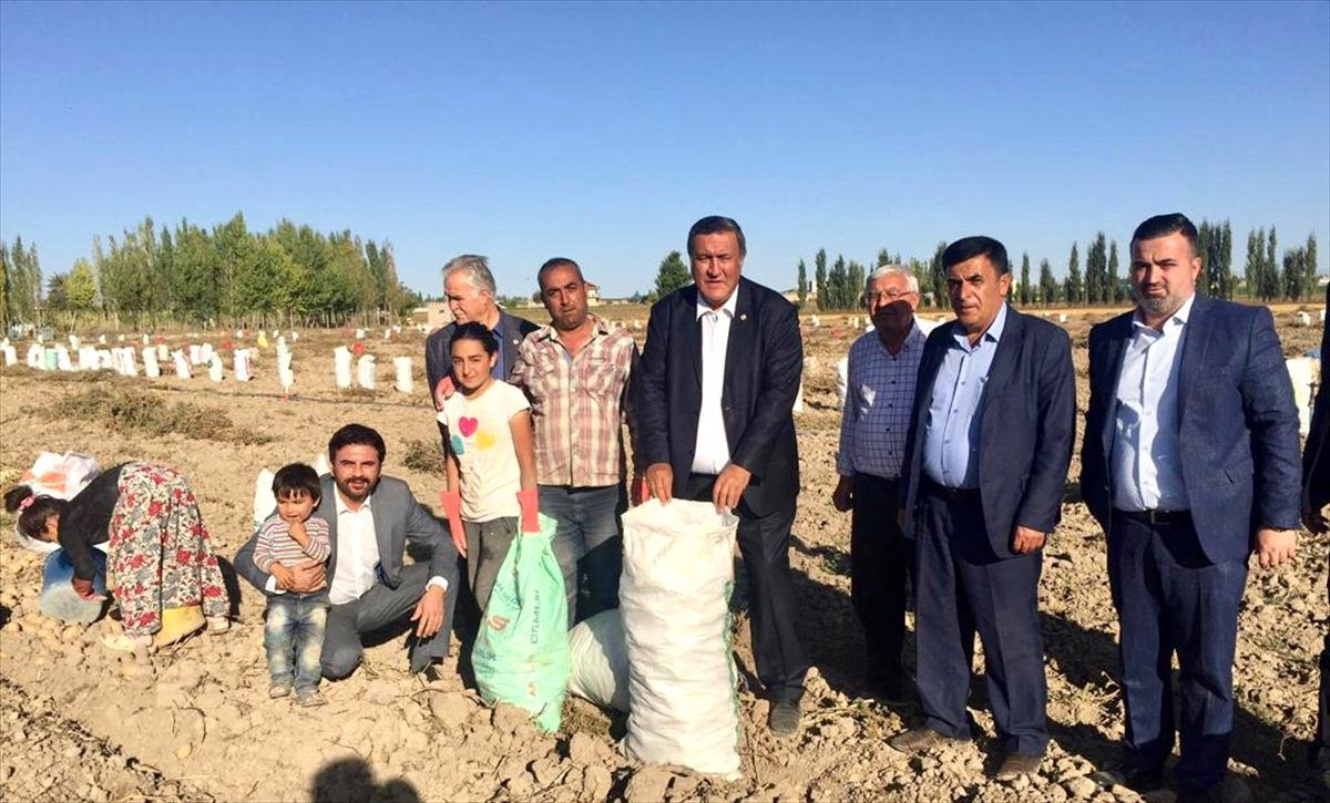 "Patateste acilen ihracat teşviki açıklanmalı"