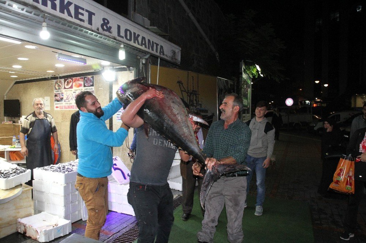Rize\'de 90 kiloluk orkinosa büyük ilgi