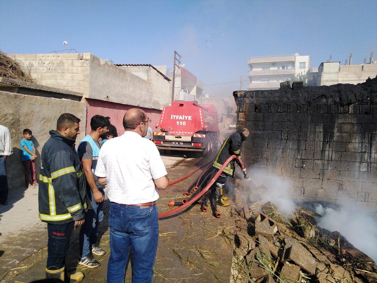 Şanlıurfa\'da ahır yangını